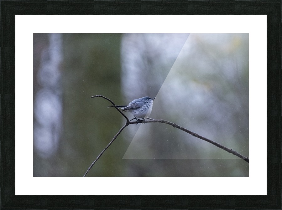 Blue Yonder Picture Frame print