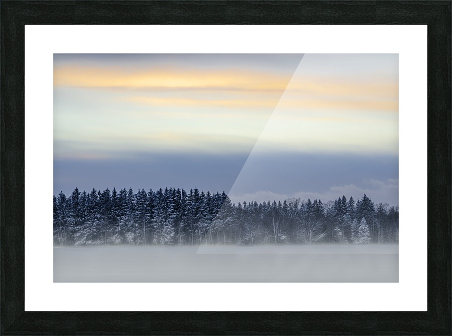Windswept Picture Frame print