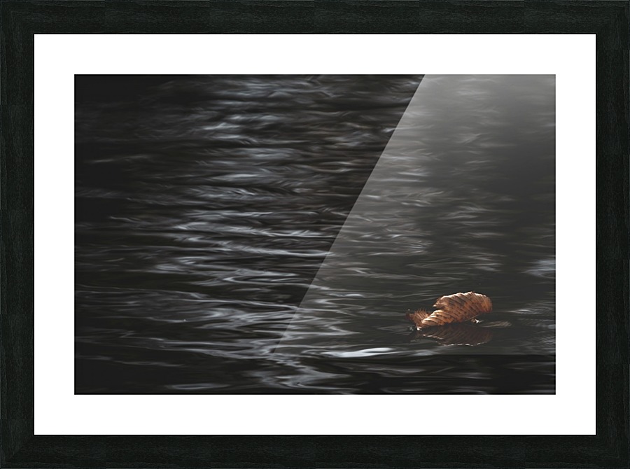 Aqueous Autumn  Picture Frame print