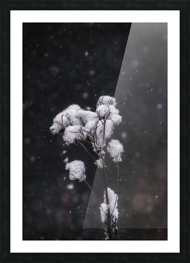 The Quiet Hours Picture Frame print