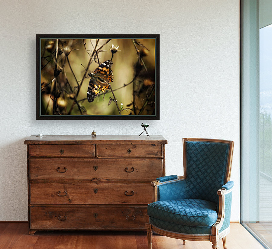 Painted Lady Reproduction
