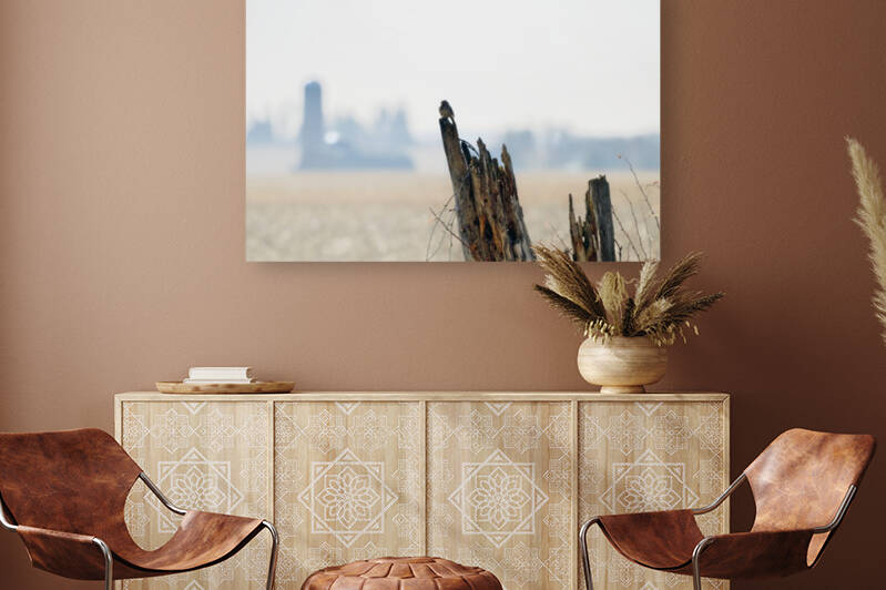Country Morning by Chris Couling