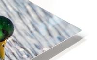 Rivulets HD Metal print