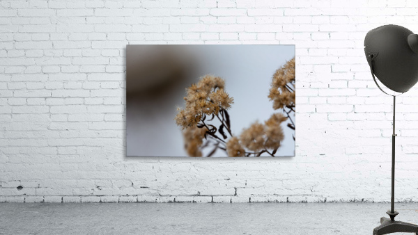Winter Flowers Wall Preview