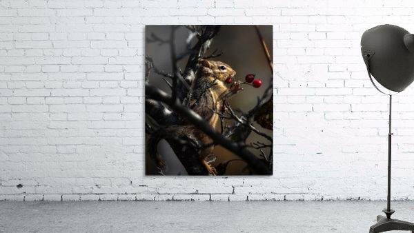 Berries Wall Preview