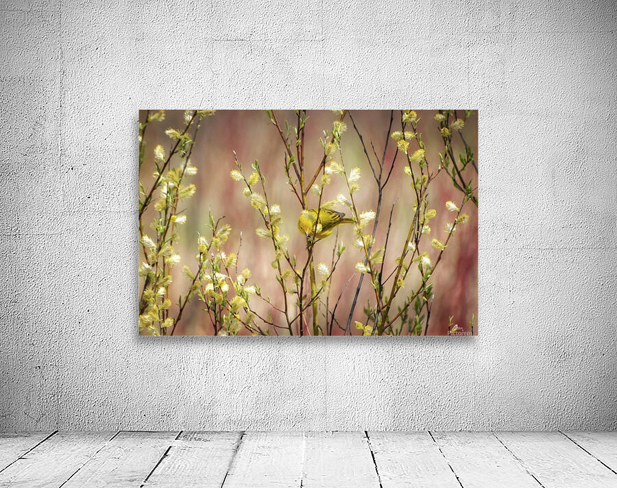 Yellows Wall Preview
