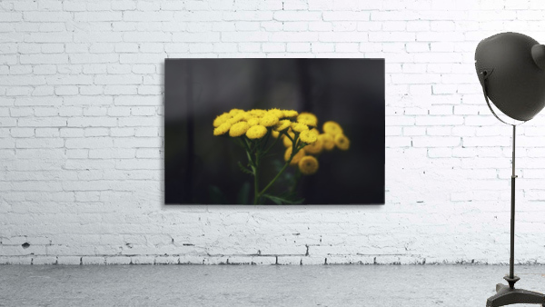 Bouquet Wall Preview