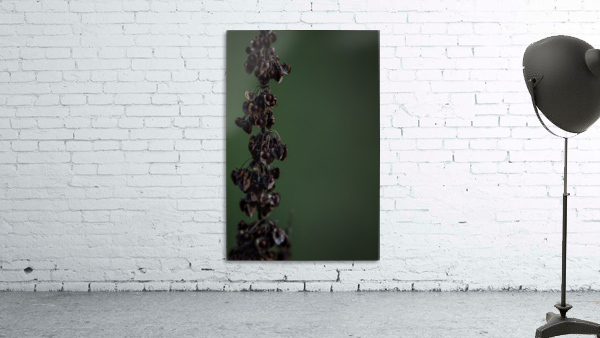 Pods Wall Preview