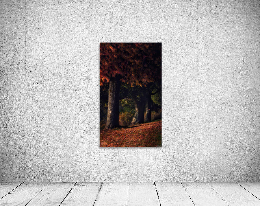 Maples Wall Preview