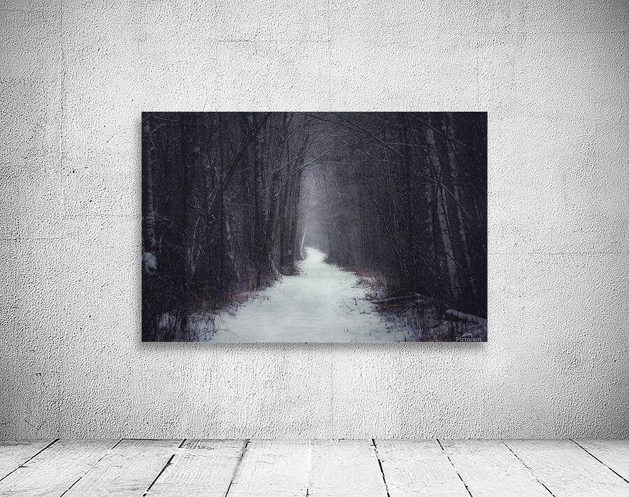 Winter Trail Wall Preview