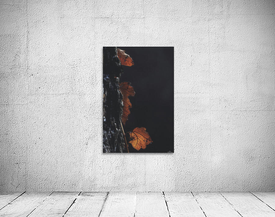 Three Wall Preview