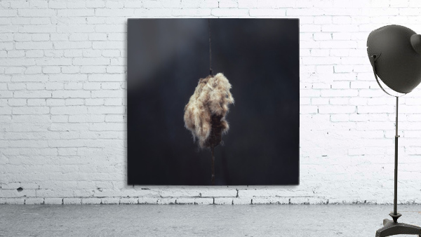 Cattail at Dusk Wall Preview