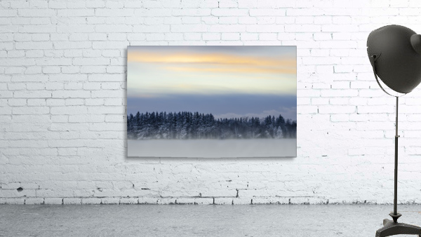 Windswept Wall Preview