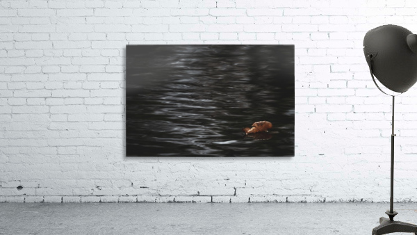 Aqueous Autumn  Wall Preview