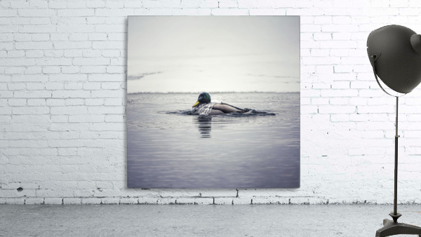 Ripples Wall Preview