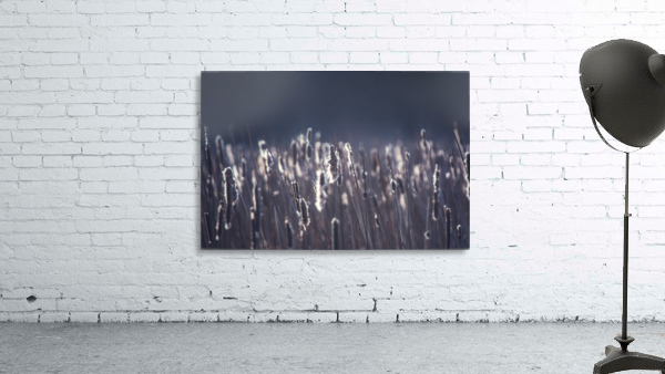 Somber Wall Preview