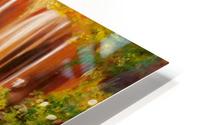 Swan lake HD Metal print