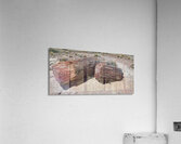 20240412 122857 Acrylic Print