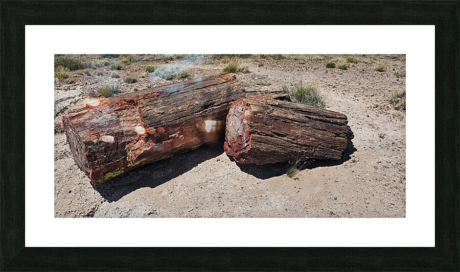 20240412 122857 Picture Frame print