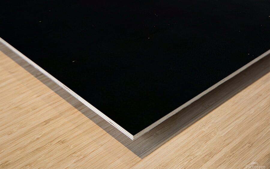 20240409 204358 Wood print