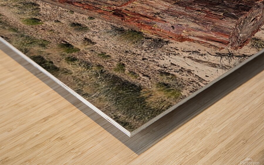 20240412 122857 Wood print