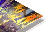 IMG 0131 HD Metal print