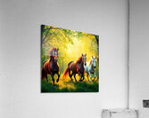 Bright vibrant colors depicting wild horses in a Acrylic Print