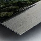 20250215 120515 Metal print