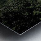 20241208 095243 Metal print