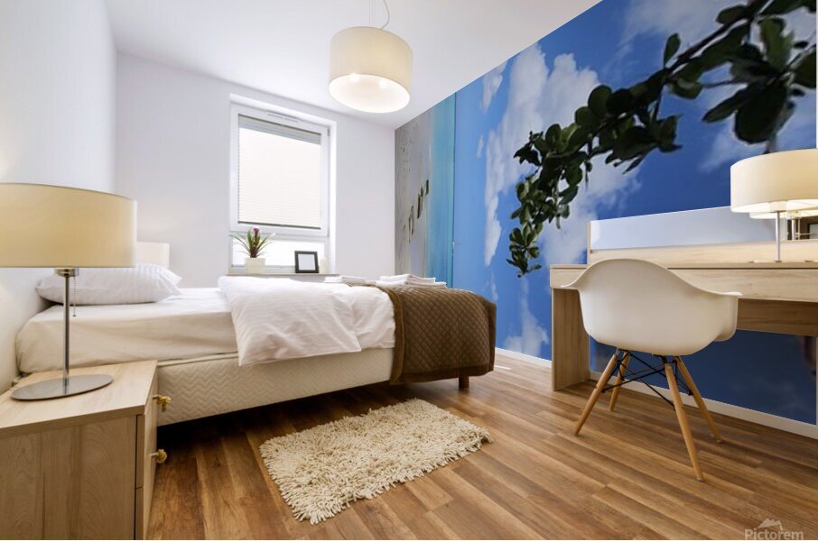 20250215 120515 Mural print