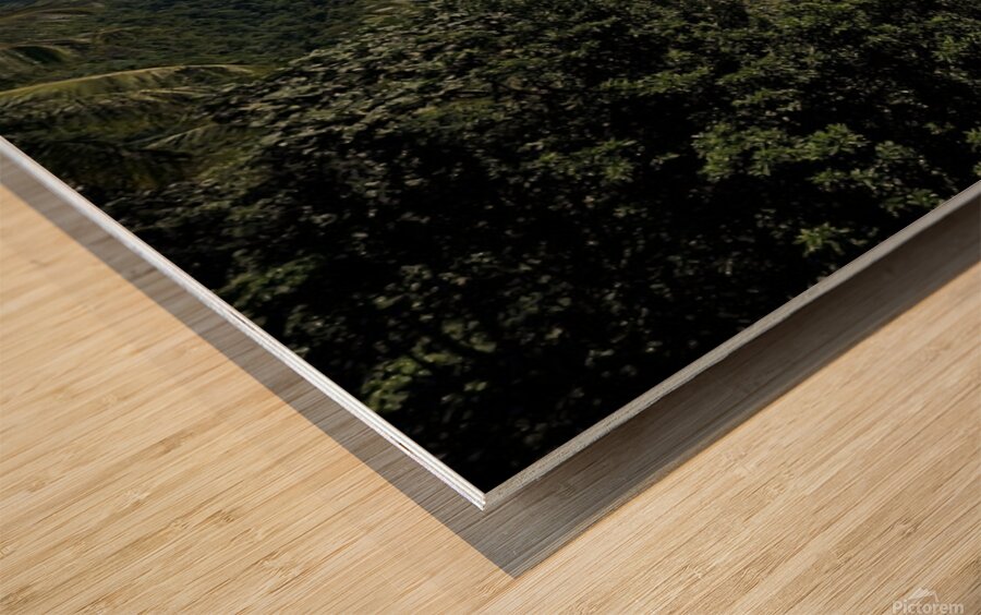 20241208 095243 Wood print