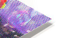 purdie bubbles36x54 HD Metal print
