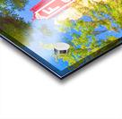 Historic Fox Theatre on Peachtree Street in Atlanta Georgia Acrylic print