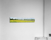 Frying Pan Farm Park Pano Acrylic Print