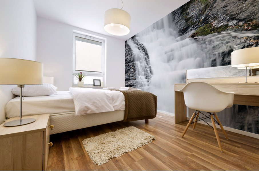 Raymondskill Falls  Mural print