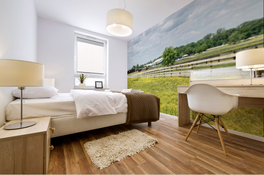 Frying Pan Farm Park Pano Mural print