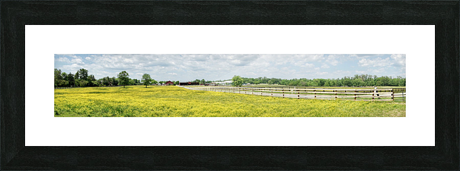 Frying Pan Farm Park Pano Picture Frame print