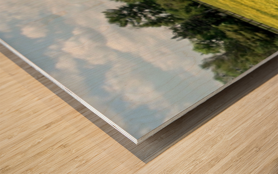 Frying Pan Farm Park Pano Wood print