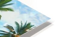 Palmtrees on a beach  HD Metal print