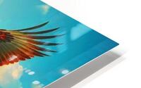 Flying Eagle  HD Metal print