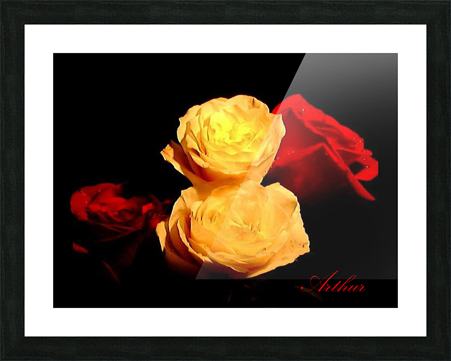 10 rose1 L Picture Frame print