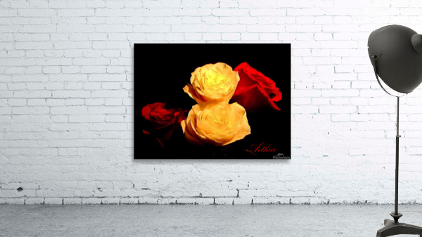 10 rose1 L Wall Preview