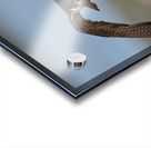 DSC05598 Edit 4 Acrylic print