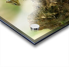 A29I5837 Edit Acrylic print