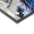 AC3Y8363 Edit Acrylic print
