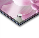DP2L4003 Acrylic print