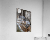 DSC09345 Edit 8 Acrylic Print