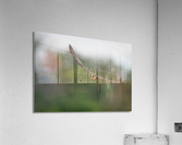 DSC06370 Edit Acrylic Print