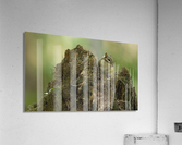 A29I5903 Edit 2 Acrylic Print