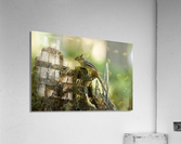 A29I5837 Edit Acrylic Print